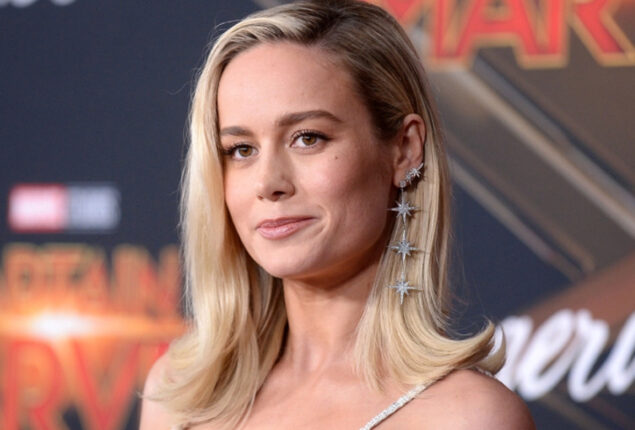 Brie Larson took a dig at all the hate she’s been receiving