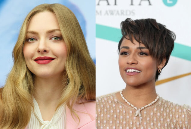 My Ex-Friend’s Wedding to star Amanda Seyfried, Ariana DeBose