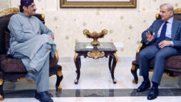 PM Shehbaz Sharif assures swift completion of Sindh projects