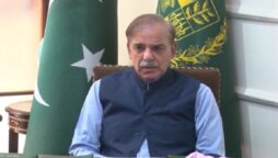 PM Shehbaz free wheat flour