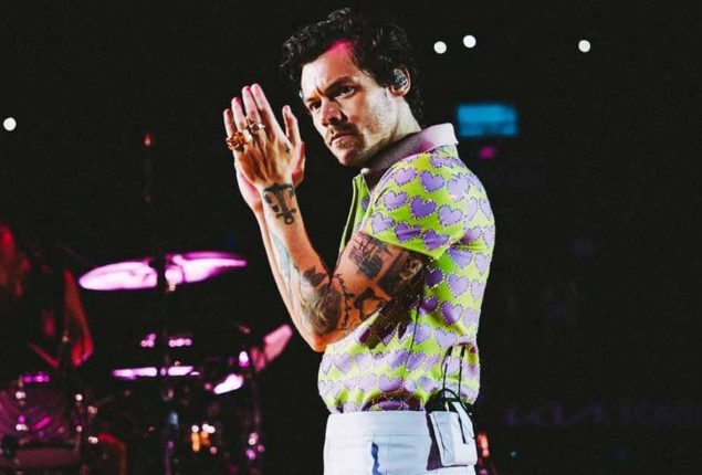 Harry Styles was hit in the face with an object during his concert in Vienna