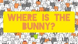 Brain Teaser: Can you spot the white rabbit in the sea of cats?