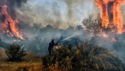 Wildfires Ravage Nine European Countries Amid Scorching Heat and Winds