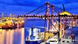 UAE Terminal Transfer