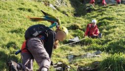 Woman's rescue mission for pet parrot goes awry