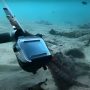 Octopus Snatches Diver’s GoPro: Underwater Clash!
