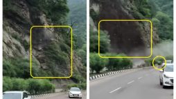 Cars Dodge Landslide