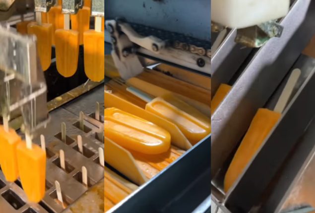 Orange Stick Popsicles