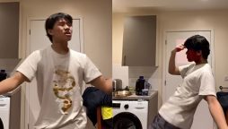 Anarkali Disco Chali