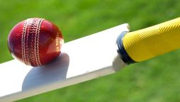 Iran seeks assistance from PCB to boost cricket in country