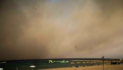 Wildfire Greek Island