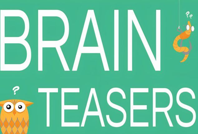 Spot the Raccoon: A Test for Keen Observers!