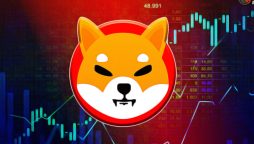 Shiba Price Prediction