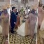 Bride Walks Down Flooded Aisle After Typhoon Doksuri