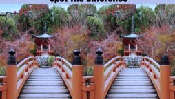 Get Ready To Spot Differences Between Two Identical Images