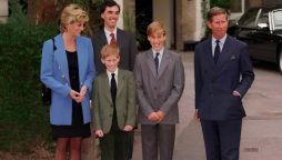 Princess Diana William Harry