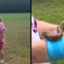 Texan Woman Attacked by Hawk and Snake While Mowing Lawn