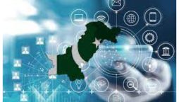 Interim IT Minister Aims for $20B IT Exports