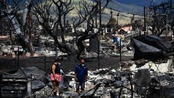 fire survivors Lahaina Hawaii