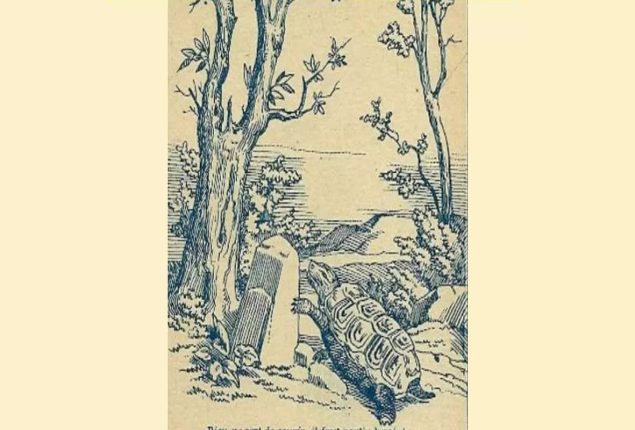 Optical Illusion Test: Spot the rabbit hidden on shore in 6 seconds!