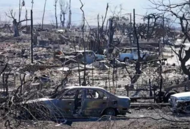 Stranger's Kindness Rescues Woman's Sole Photo Amidst Maui Fire Loss