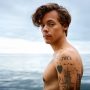 Harry Styles Stuns Fans in Italy with Stylish Walk