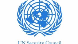 UN Security Council