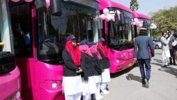 Pink bus women driver