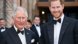 Prince Harry King Charles