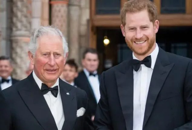 Prince Harry leaves King Charles “disappointed”