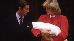 Princess Diana Prince Harry