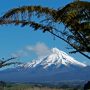 Mount Taranaki Climber ‘Exceptionally Lucky’ to Be Alive