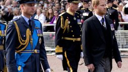 Prince Harry receives far less respect than Prince William