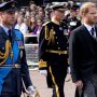 Prince Harry receives far less respect than Prince William