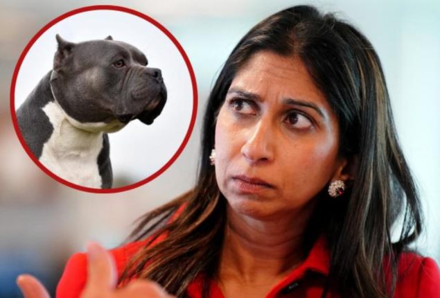 Bully dogs are a threat to life, says Suella Braverman