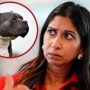 Bully dogs are a threat to life, says Suella Braverman