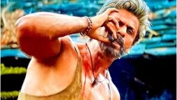 Jawan Box Office Collection: Shah Rukh Khan’s Film to Hit ₹700 Crore Mark Today