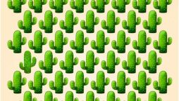 Brain Teaser Test: Find the Odd Cactus in 9 Seconds to Test Your IQ