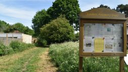 19-Year-Old Man Stabbed to Death in Jubilee Country Park