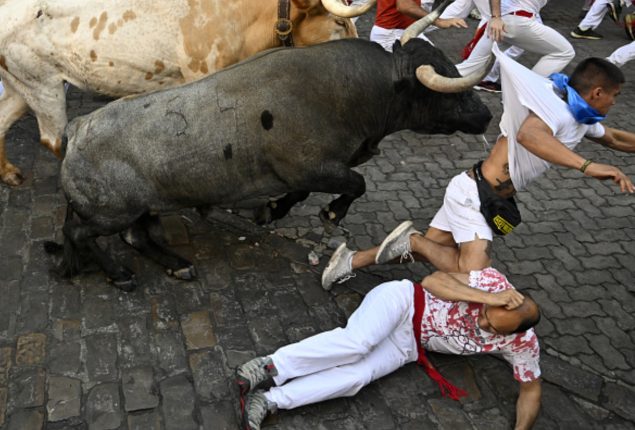 Spanish Festival Turns Deadly After Bull Kills Man