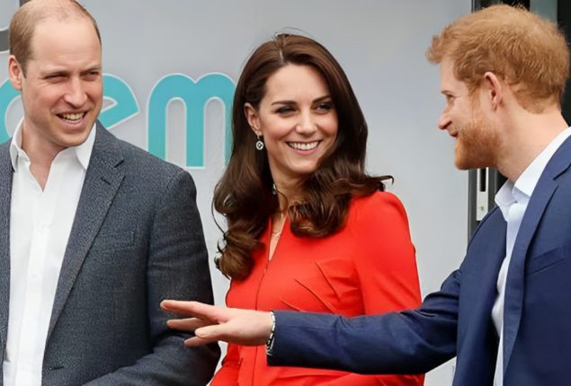 Kate Middleton & William Shine Amid Harry’s Germany Visit