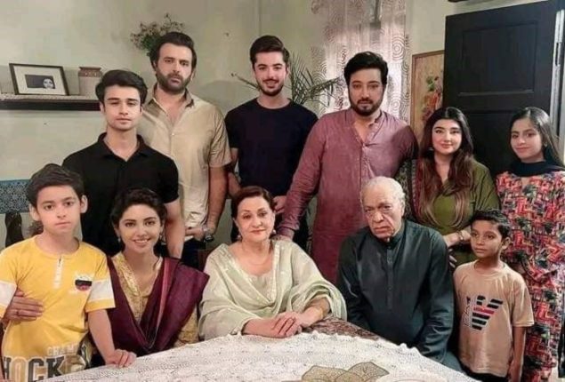 Saud Qasmi Teases Fans With ‘Baby Baji 2’ Sequel Possibility