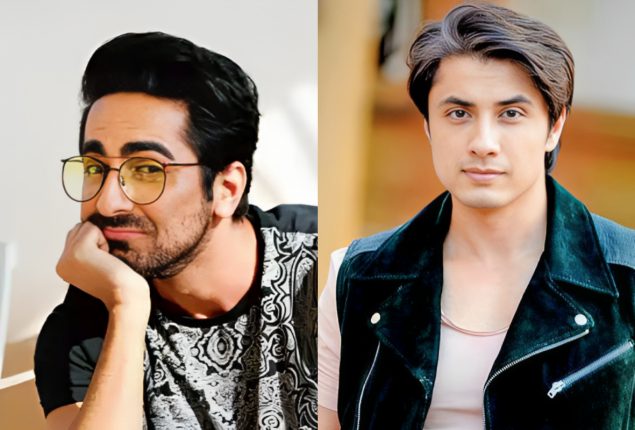 Celebs Slam DRS Controversy in Pakistan vs. South Africa World Cup