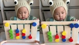 Problem-Solving Skills