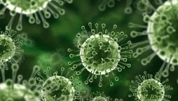 Punjab issues alert for Nipah virus  