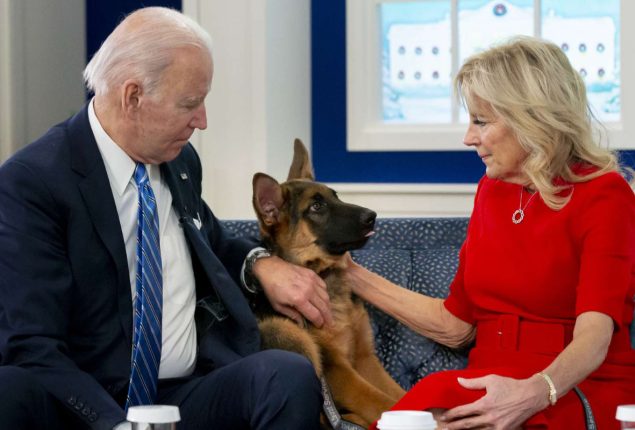 Biden’s dog Commander ousted from White House for biting