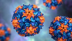 Poliovirus samples detected in 16 European countries