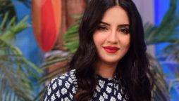 Journalist Kiran Naz slams controversial drama for glorifying Divorce