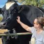 Oregon Rescue Claims World’s Tallest Steer