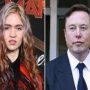 Elon Musk sued Grimes for the parental rights of their three kids